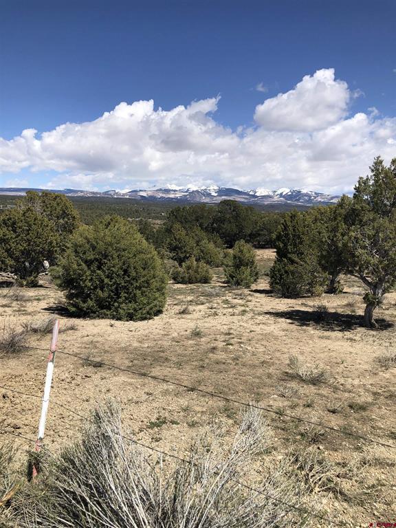 37988 & 38014 Highway 184 Mancos CO 81328