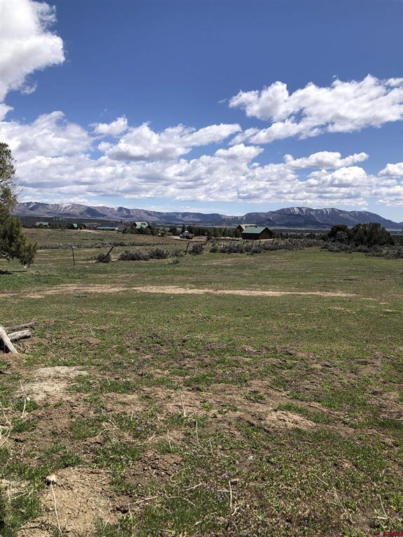 37988 & 38014 Highway 184 Mancos CO 81328