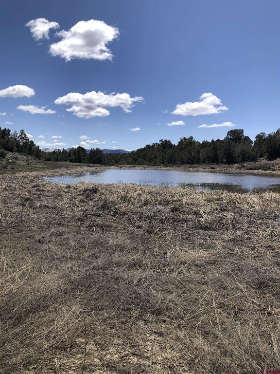 37988 & 38014 Highway 184 Mancos CO 81328