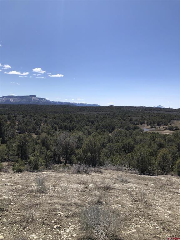 37988 & 38014 Highway 184 Mancos CO 81328