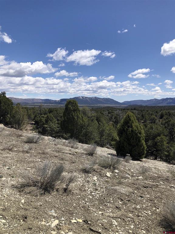 37988 & 38014 Highway 184 Mancos CO 81328