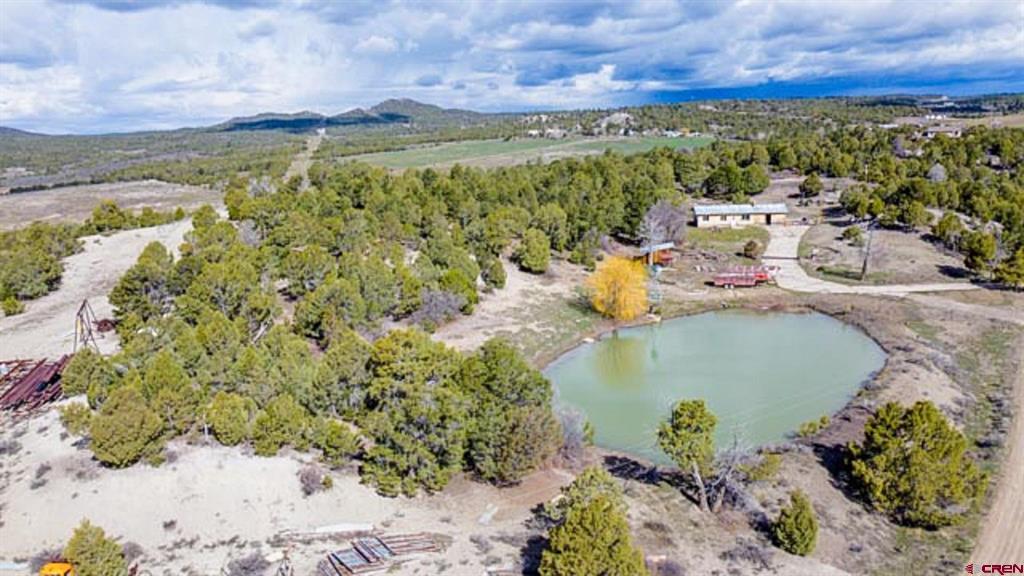 37988 & 38014 Highway 184 Mancos CO 81328