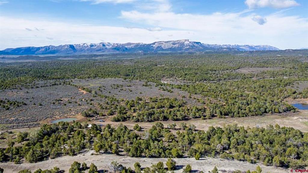 37988 & 38014 Highway 184 Mancos CO 81328