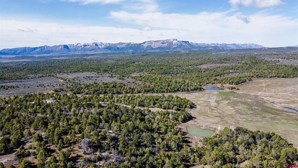 37988 & 38014 Highway 184 Mancos CO 81328