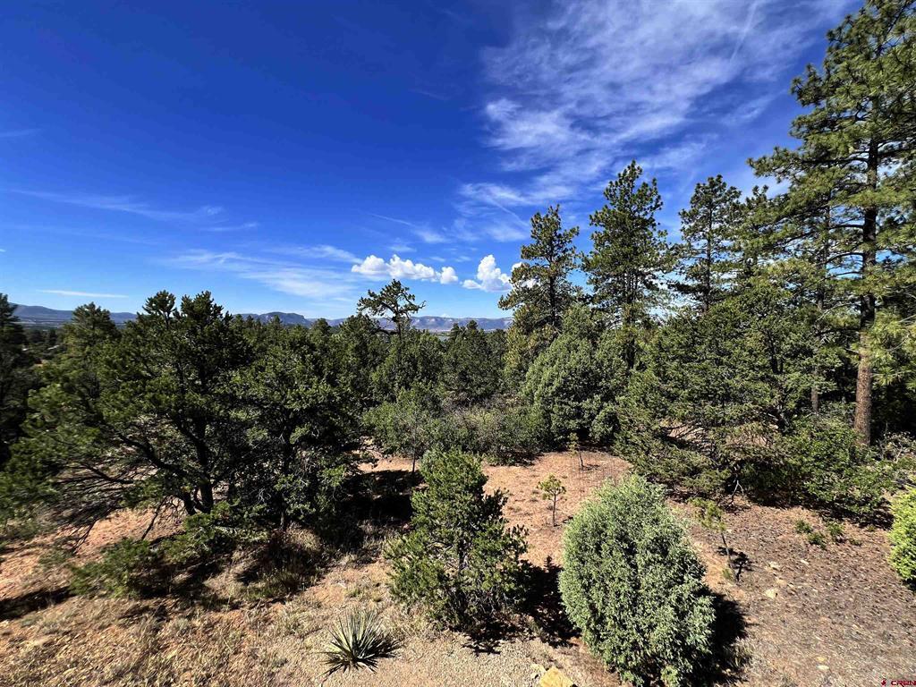 12282 Road 41 Mancos CO 81328