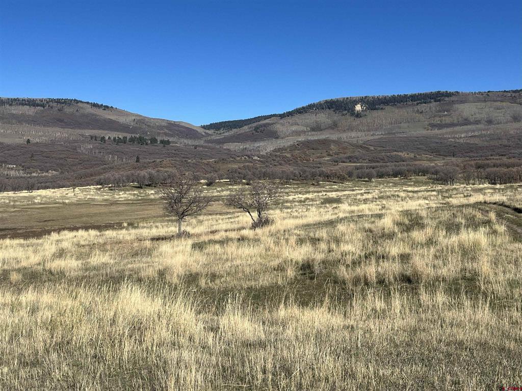 Tbd Hanks Valley Road Montrose CO 81403