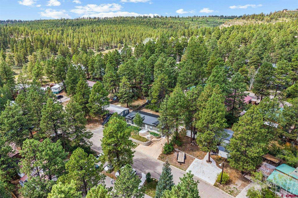 59 Holly Hock Trail Durango CO 81303