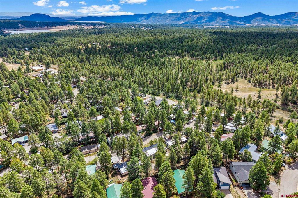 59 Holly Hock Trail Durango CO 81303