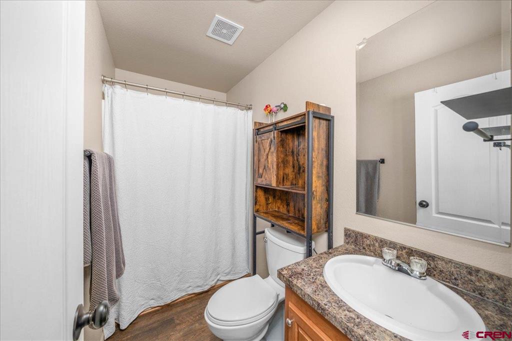 318 Winding Trail Ridgway CO 81432