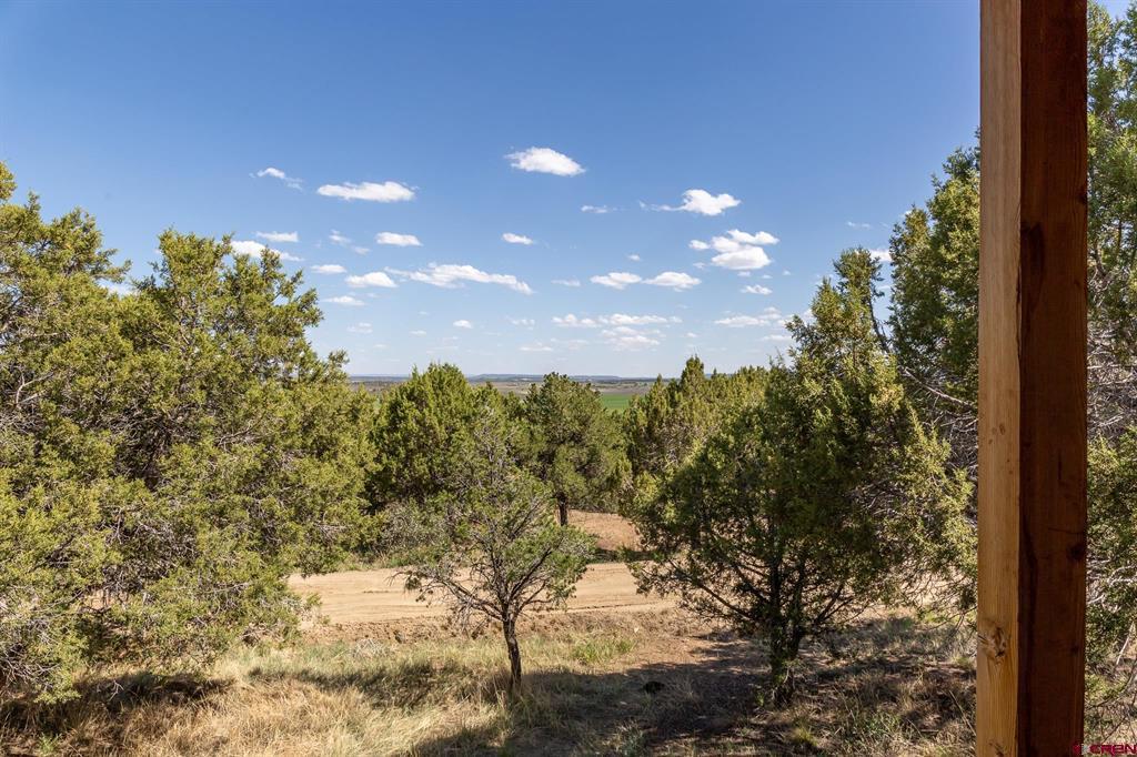 329 Payne Lane Ignacio CO 81137