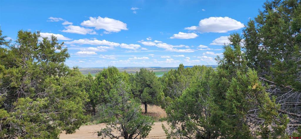 329 Payne Lane Ignacio CO 81137