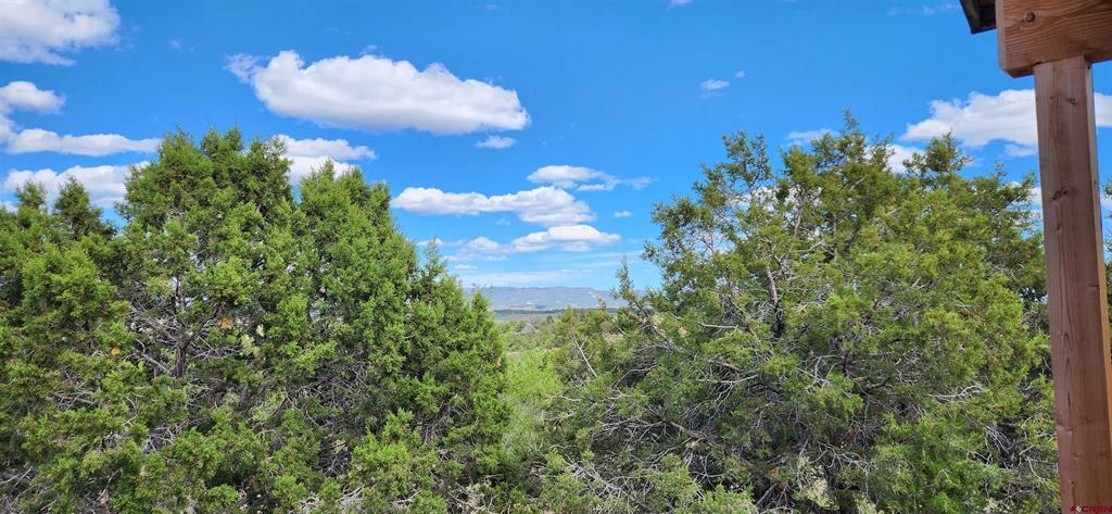 329 Payne Lane Ignacio CO 81137