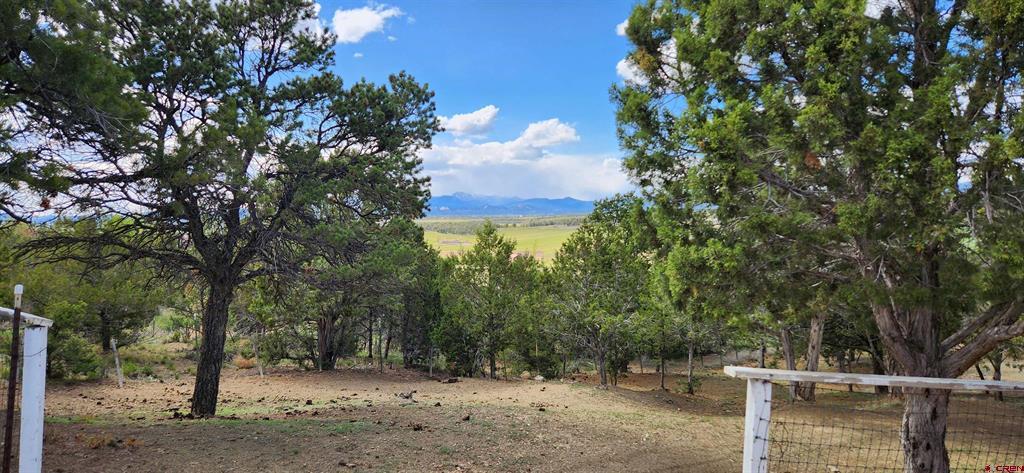 329 Payne Lane Ignacio CO 81137
