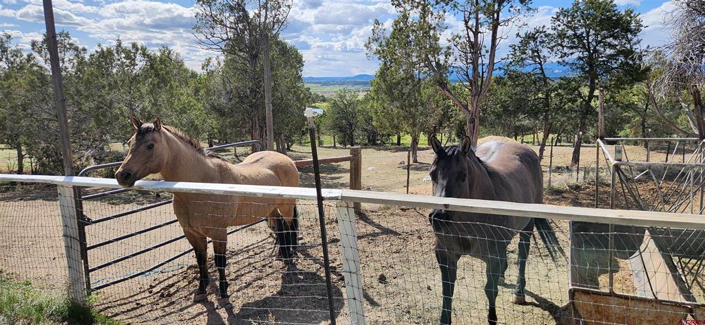 329 Payne Lane Ignacio CO 81137