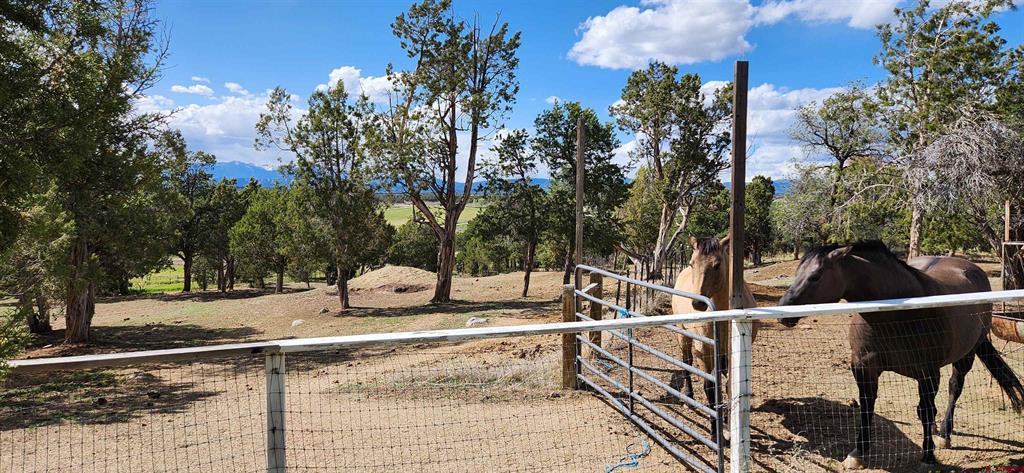 329 Payne Lane Ignacio CO 81137