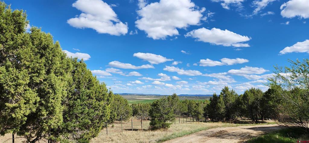 329 Payne Lane Ignacio CO 81137