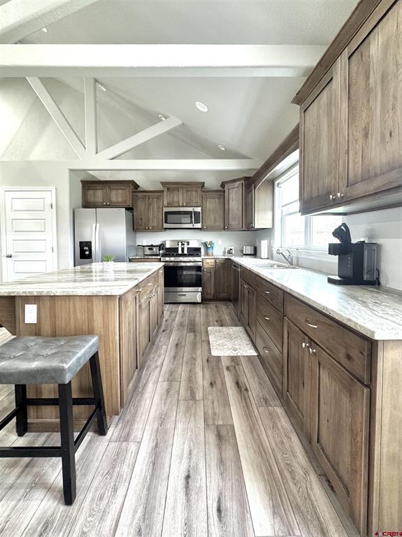 103 Redtail Drive Monte Vista CO 81144