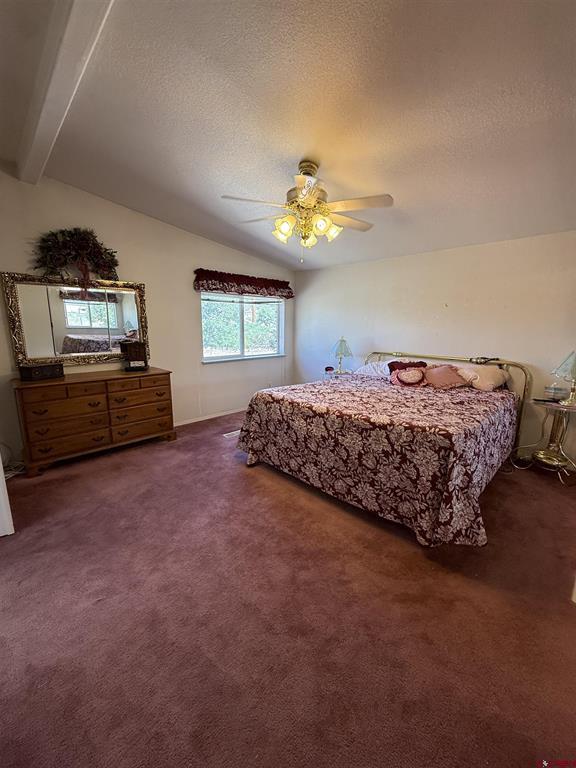 207 W Menefee Street Mancos CO 81328