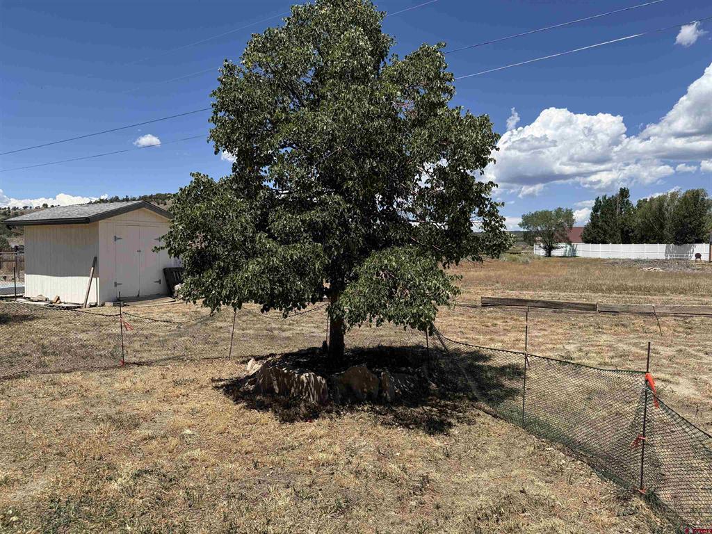 207 W Menefee Street Mancos CO 81328