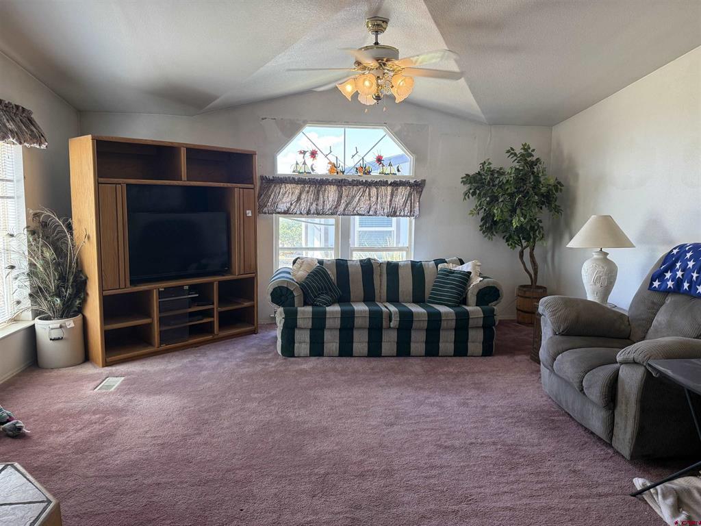 207 W Menefee Street Mancos CO 81328