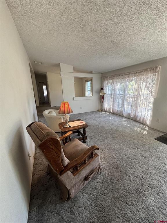 288 Animas View Drive Durango CO 81301