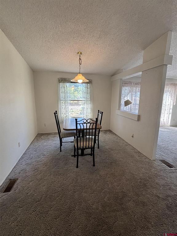 288 Animas View Drive Durango CO 81301