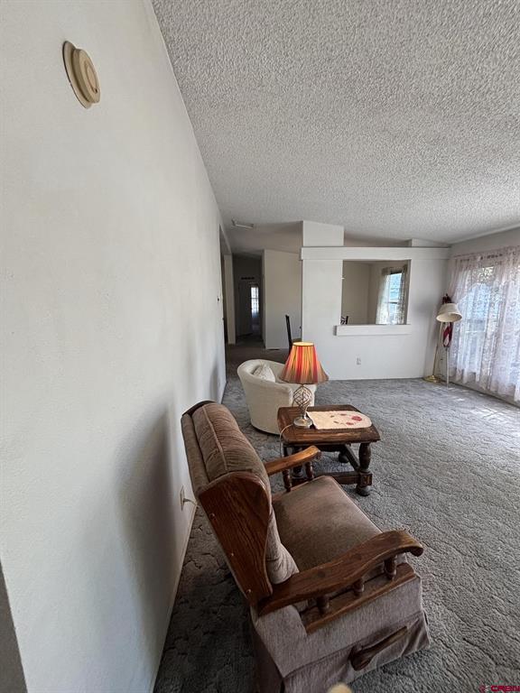 288 Animas View Drive Durango CO 81301