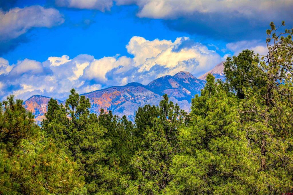 171 S Squaw Canyon Place Pagosa Springs CO 81147