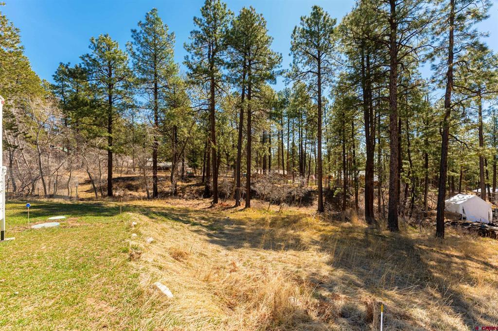 460 E Valley View Drive Bayfield CO 81122
