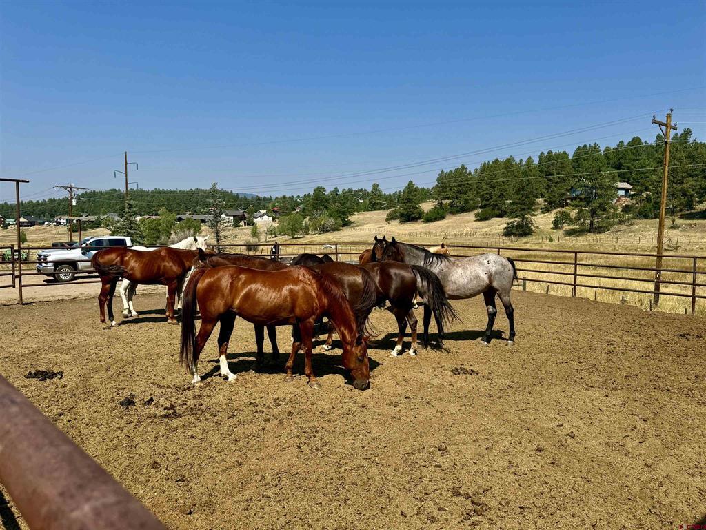2400 Piedra Road Pagosa Springs CO 81147