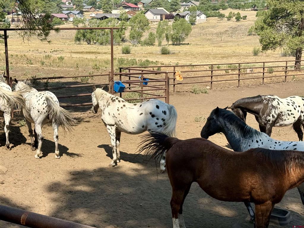 2400 Piedra Road Pagosa Springs CO 81147