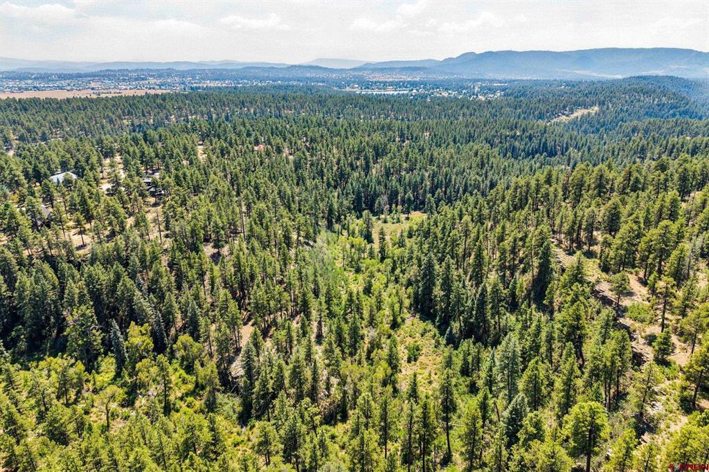2400 Piedra Road Pagosa Springs CO 81147