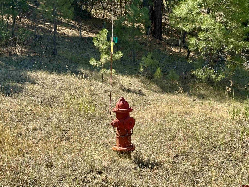 2400 Piedra Road Pagosa Springs CO 81147