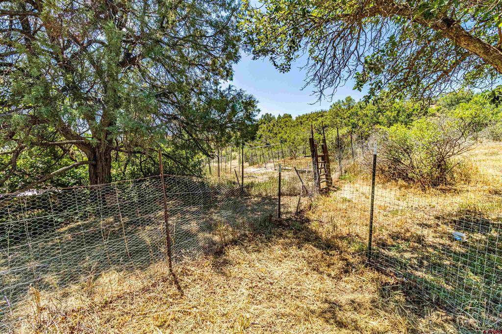 892 Cactus Drive Pagosa Springs CO 81147