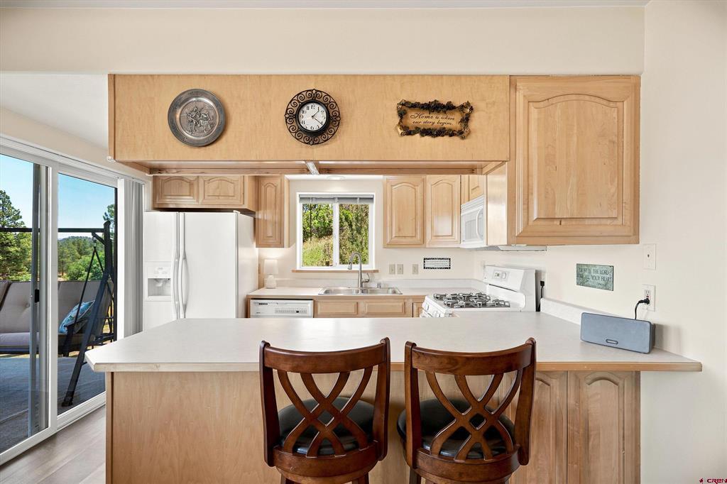 398 Grenadier Place Pagosa Springs CO 81147