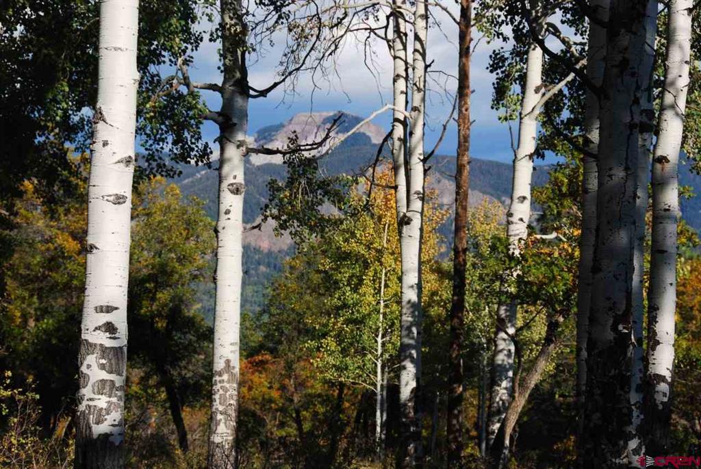 1100 Navajo Peak Place Pagosa Springs CO 81147