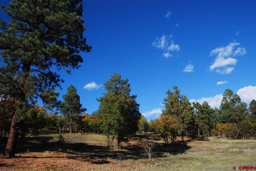 1100 Navajo Peak Place Pagosa Springs CO 81147