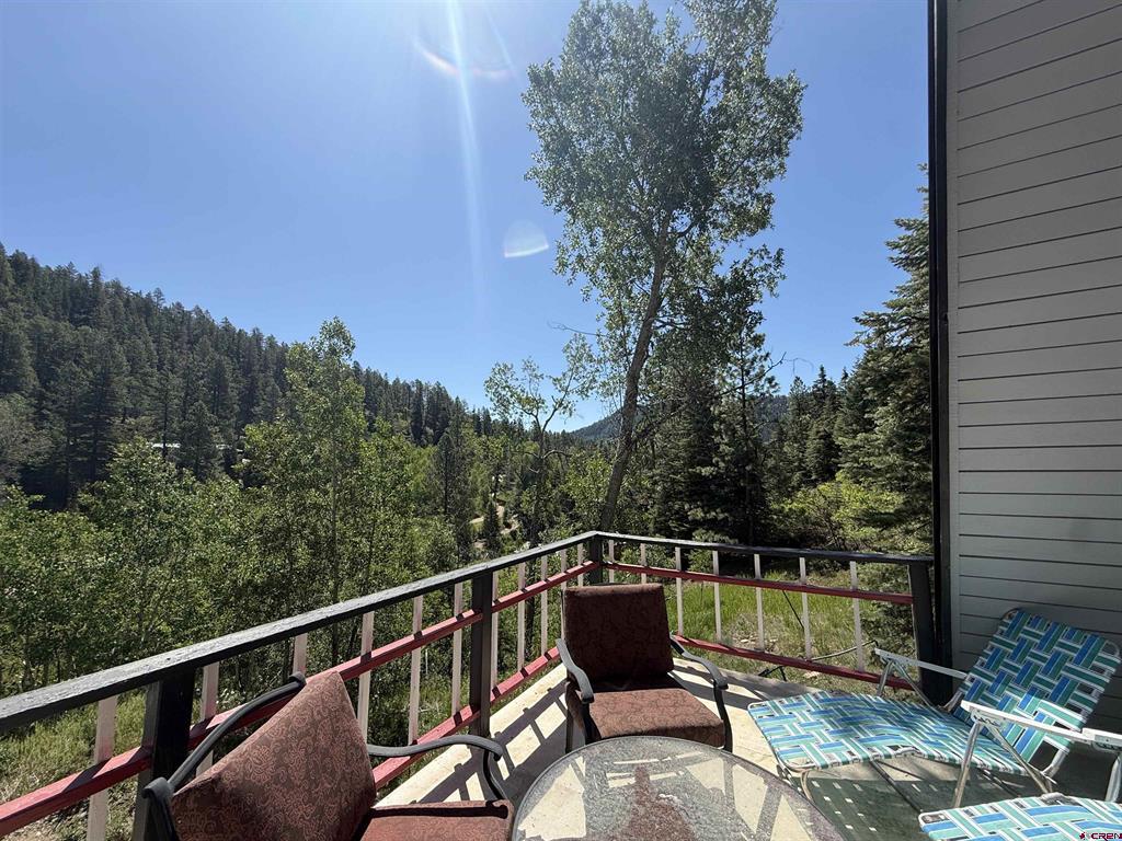 583 Trew Creek Drive Durango CO 81301