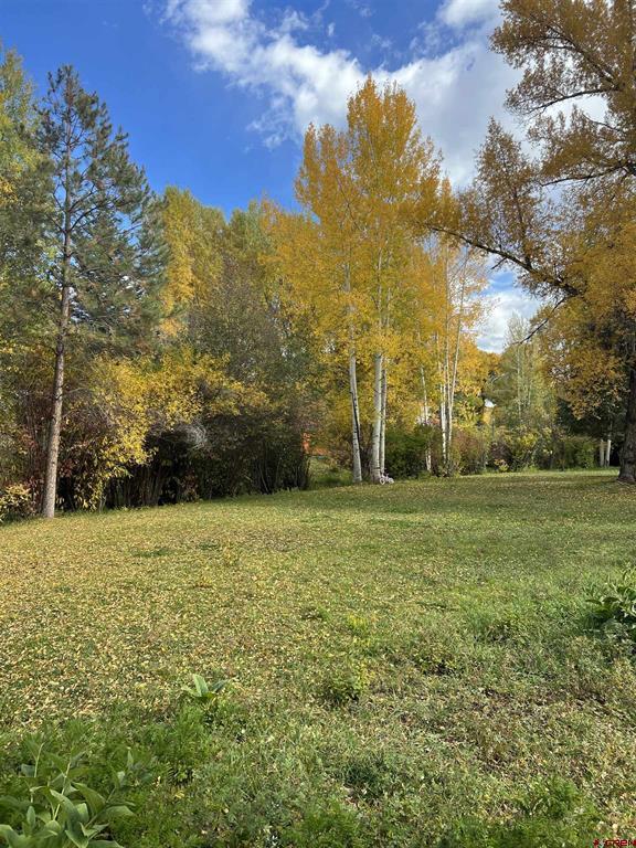 133 Park Drive Gunnison CO 81230