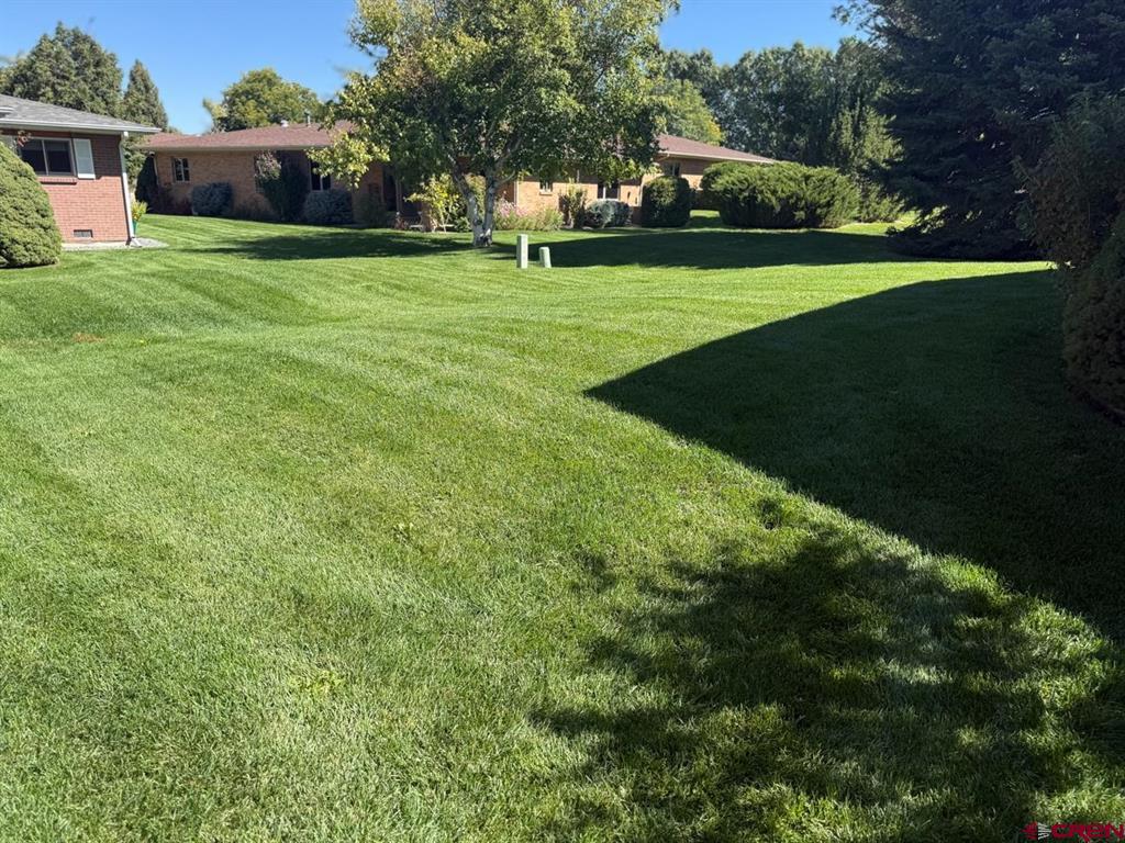 1219 Peppertree Drive Montrose CO 81401