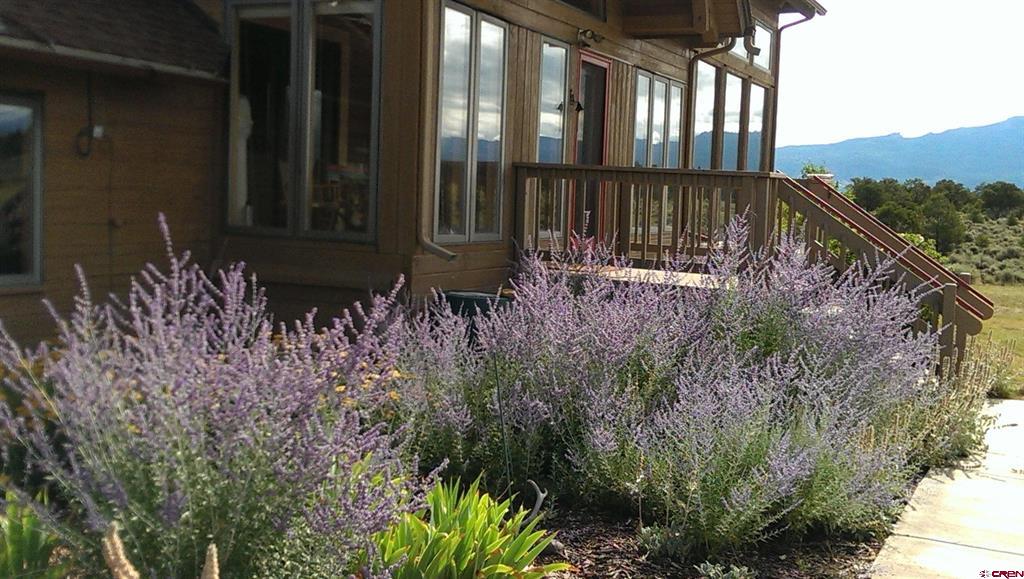 830 Tiyoweh Trail Montrose CO 81403