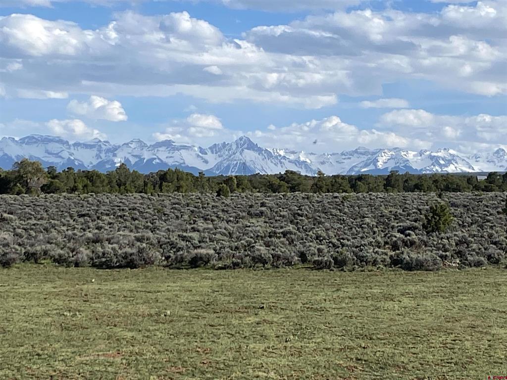 830 Tiyoweh Trail Montrose CO 81403