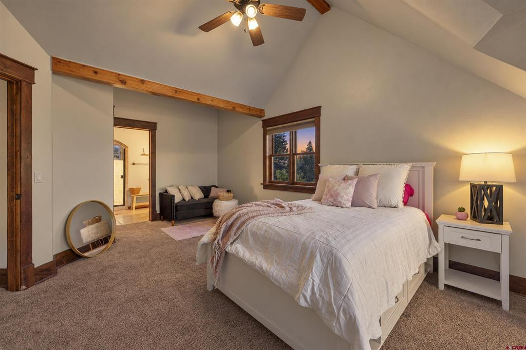 220 Shooting Star Drive Pagosa Springs CO 81147