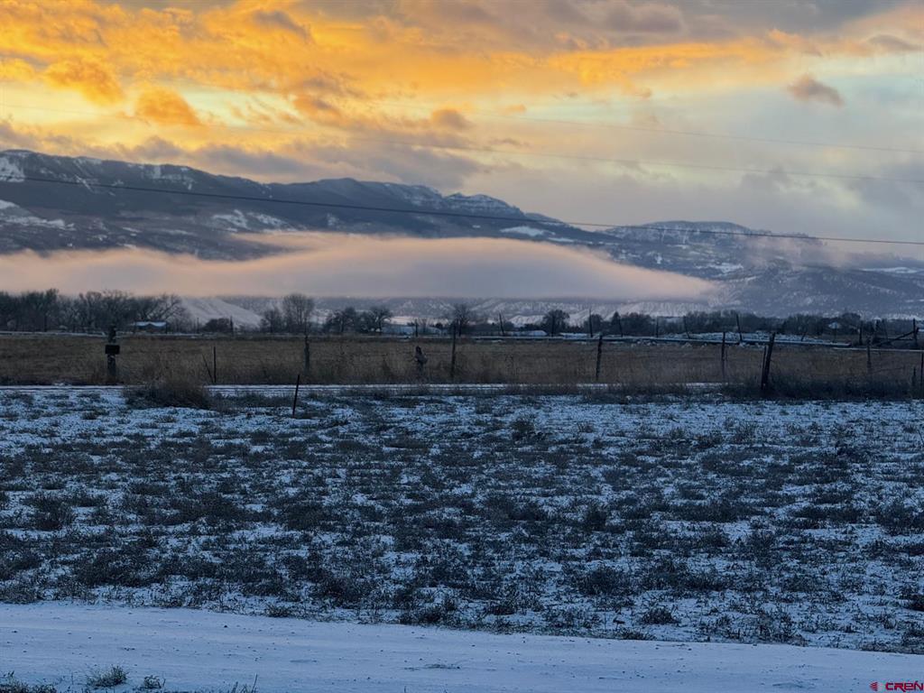 17823 6353 Road Montrose CO 81403