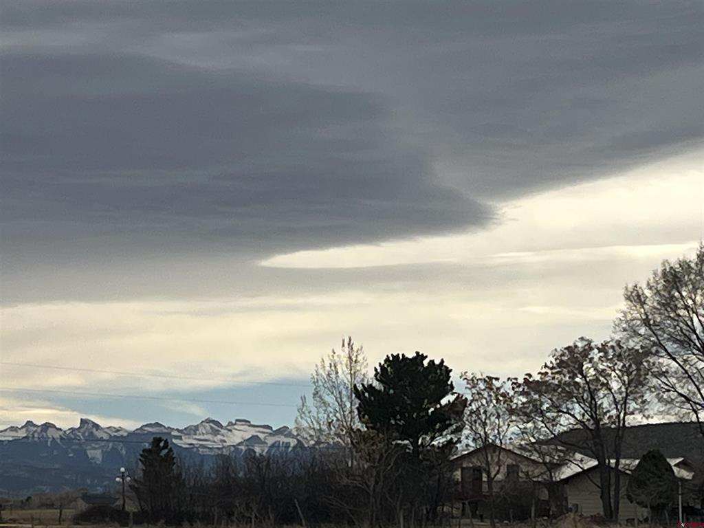 17823 6353 Road Montrose CO 81403