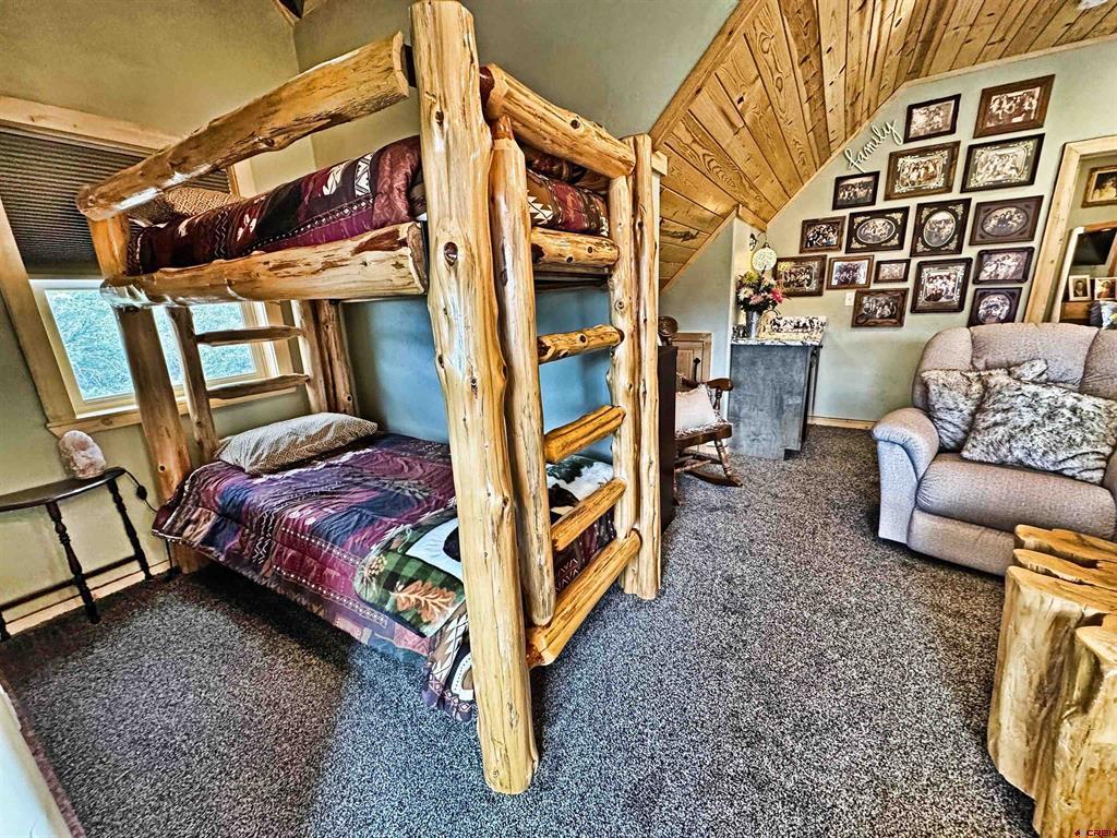 461 Vista De Verde South Fork CO 81154