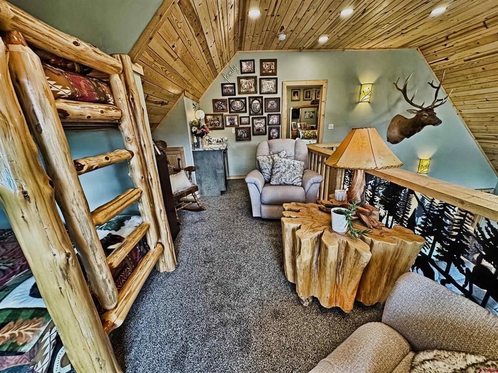 461 Vista De Verde South Fork CO 81154