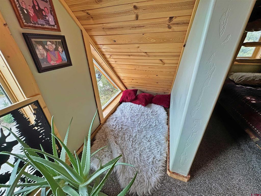 461 Vista De Verde South Fork CO 81154