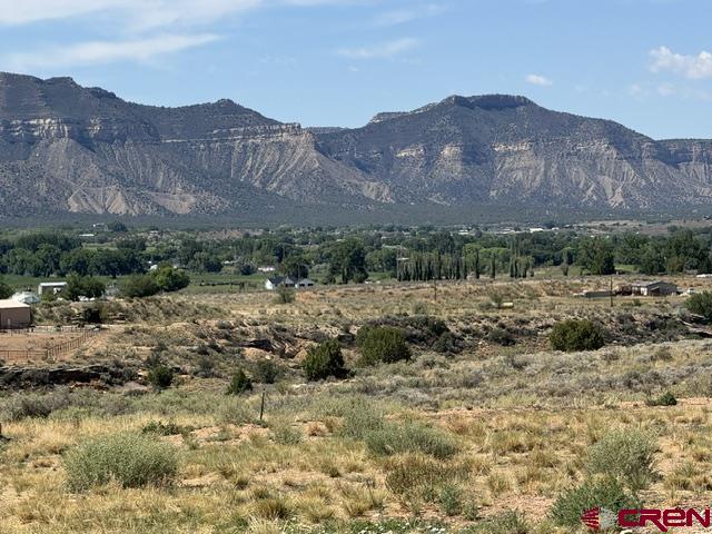 976 Bluffs Boulevard Cortez CO 81321