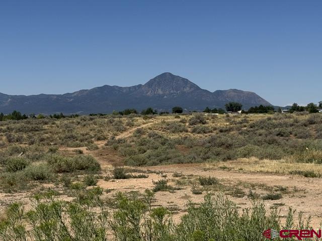 976 Bluffs Boulevard Cortez CO 81321